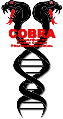 COBRA logo
