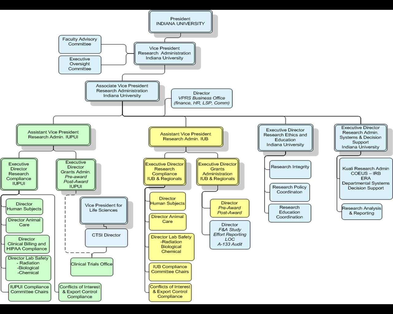 Iu Health Organizational Chart