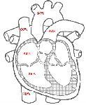Link to case presentation