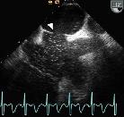Link to case presentation